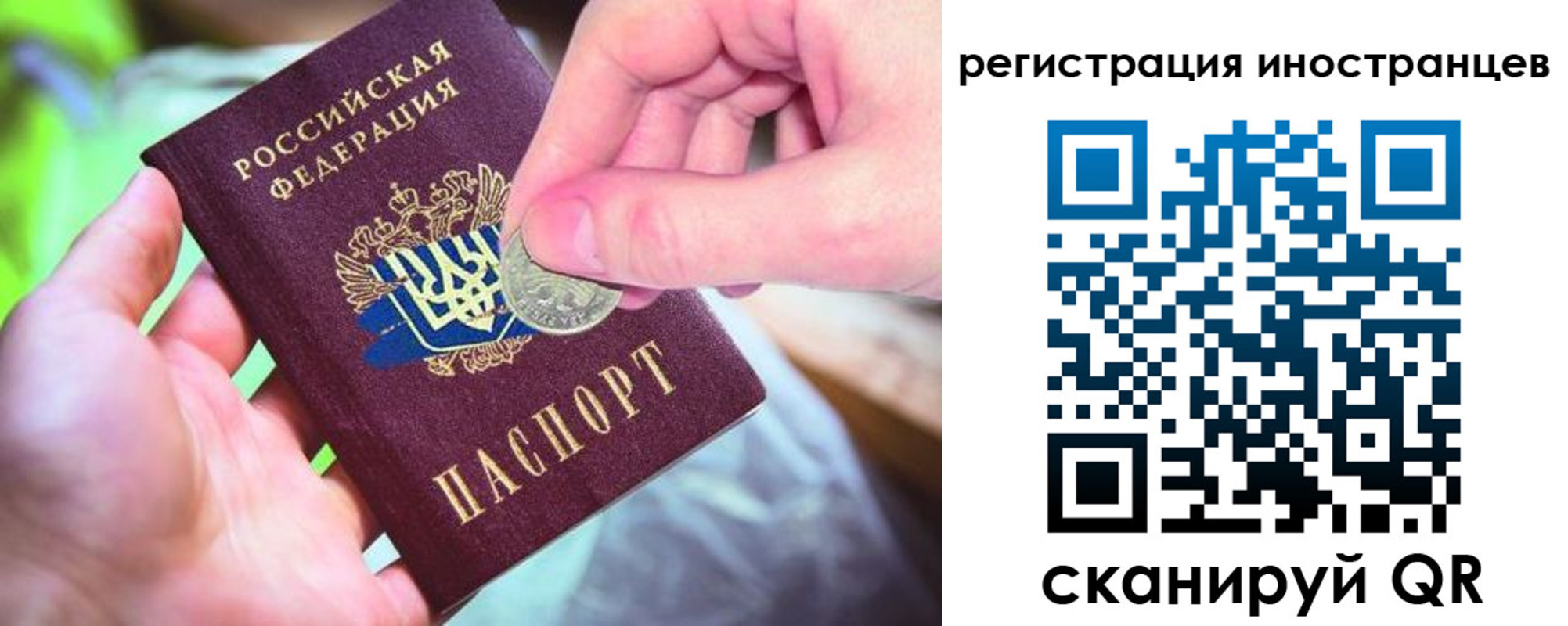 прописка для работы в Светлограде